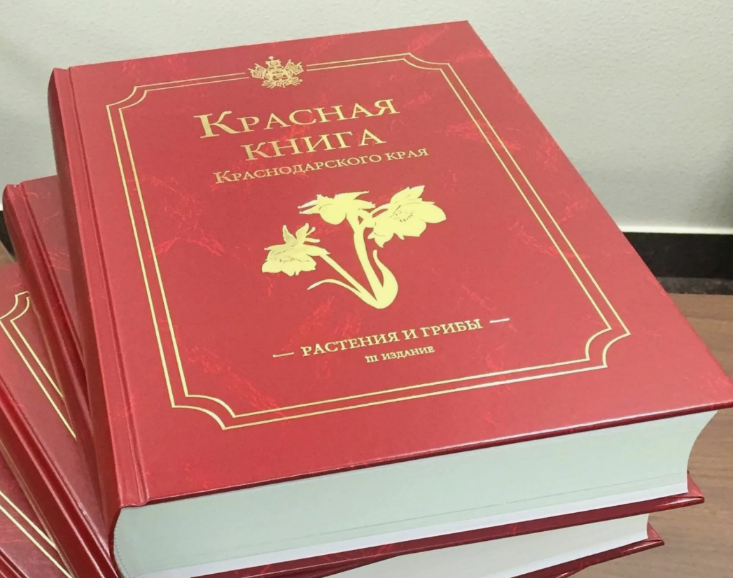 Информационный час «История Красной книги»..