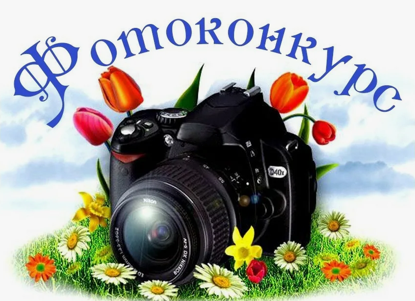 Фотоконкурс «Улыбнись планета!!! В объективе - лето».