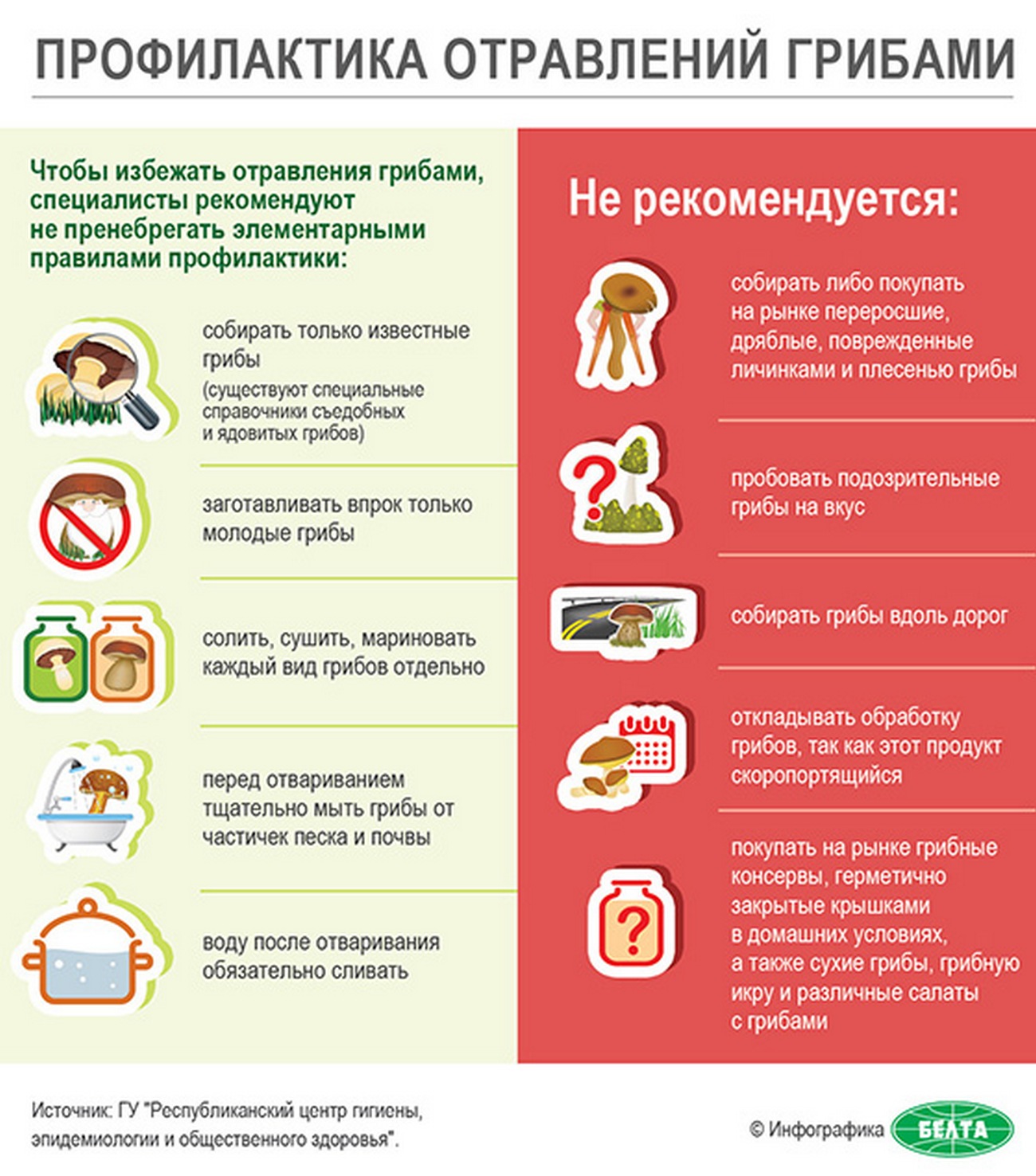 Профилактика отравлений грибами.