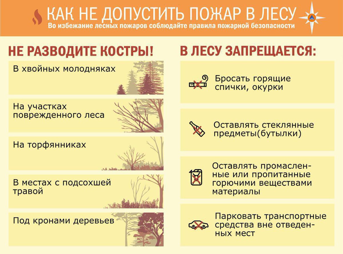 Пожарная безопасность в лесу.