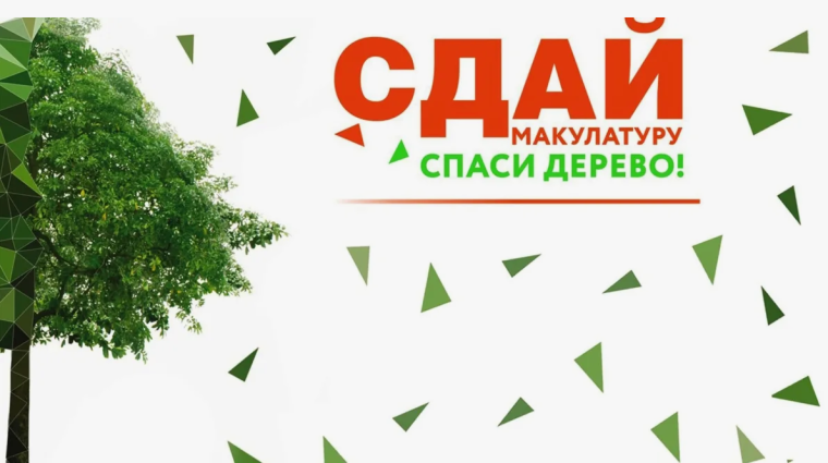 Сдай макулатуру - спаси дерево. Сдай макулатуру - спаси дерево.