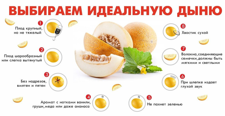 Как выбрать дыню. Как выбрать дыню.