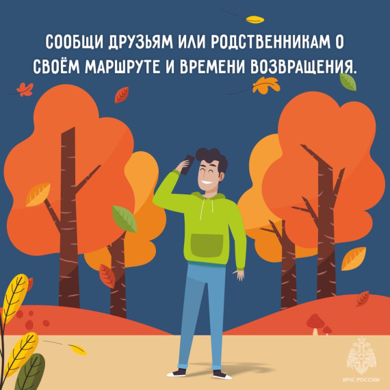 Как сходить за грибами и не попасть в беду читайте в наших карточках.