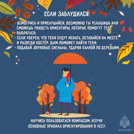 Как сходить за грибами и не попасть в беду читайте в наших карточках.